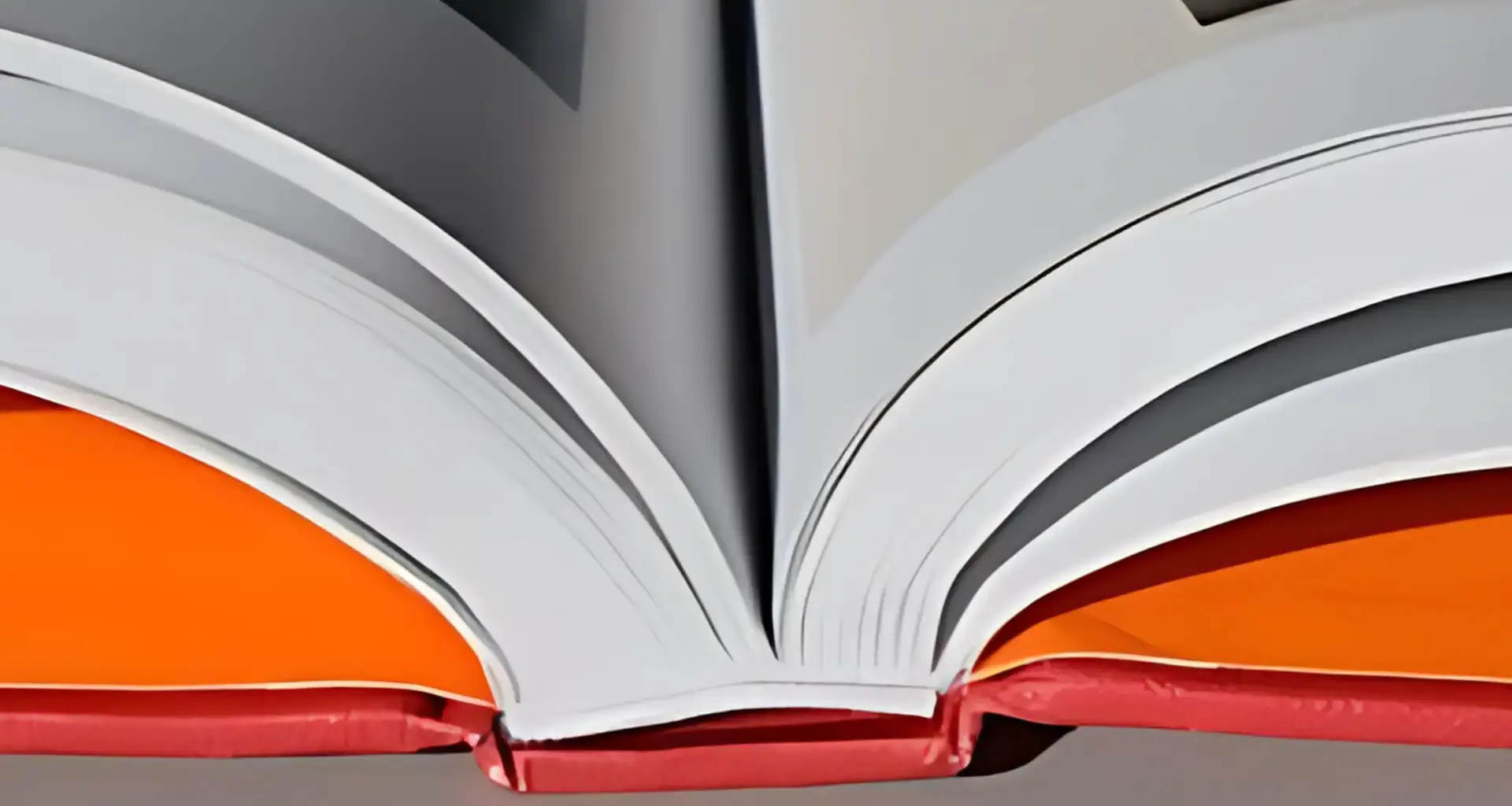 Imagen top - encuadernación Tapa dura-